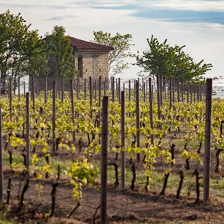 宾馆 L'ocanda Cascina Riva Ottiglio